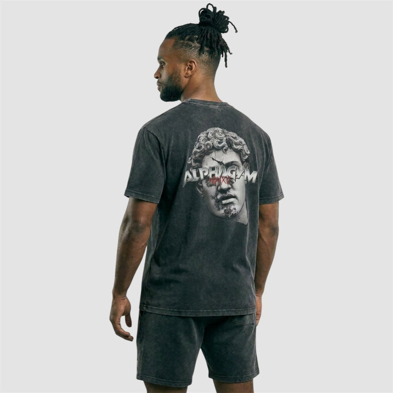ALPHA GYM INVICTUS Oversized Fitness T-Shirt Grey Washed für Herren