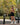 ALPHA GYM AUREA V-Back Scrunch Jumpsuit Short Schwarz – Ansicht 4