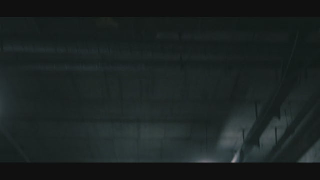 ALPHA GYM Video